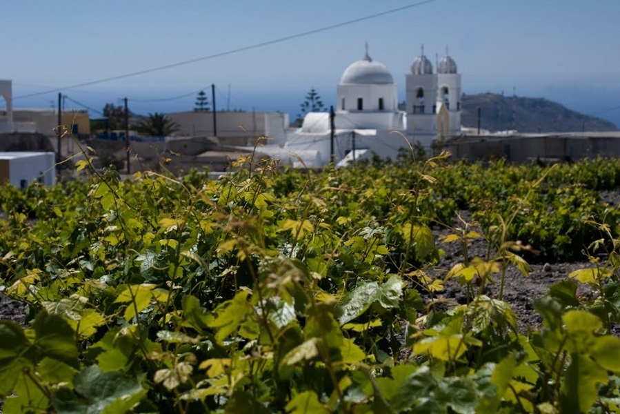 Μεγαλοχώρι, photo:Margotta